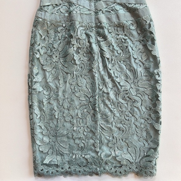 Tadashi Shoji dress embroidered lace banded event romantic sophisticated sheath - Picture 7 of 9